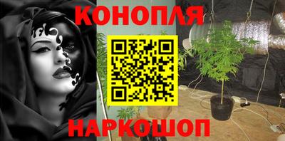 прущие крисы Кулебаки