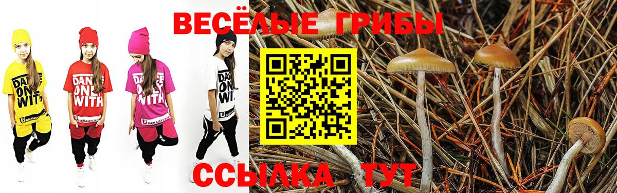 Кизилюрт  Галлюциногенные грибы GOLDEN TEACHER  Псилоцибиновые грибы Psilocybe  Вход с VPN 